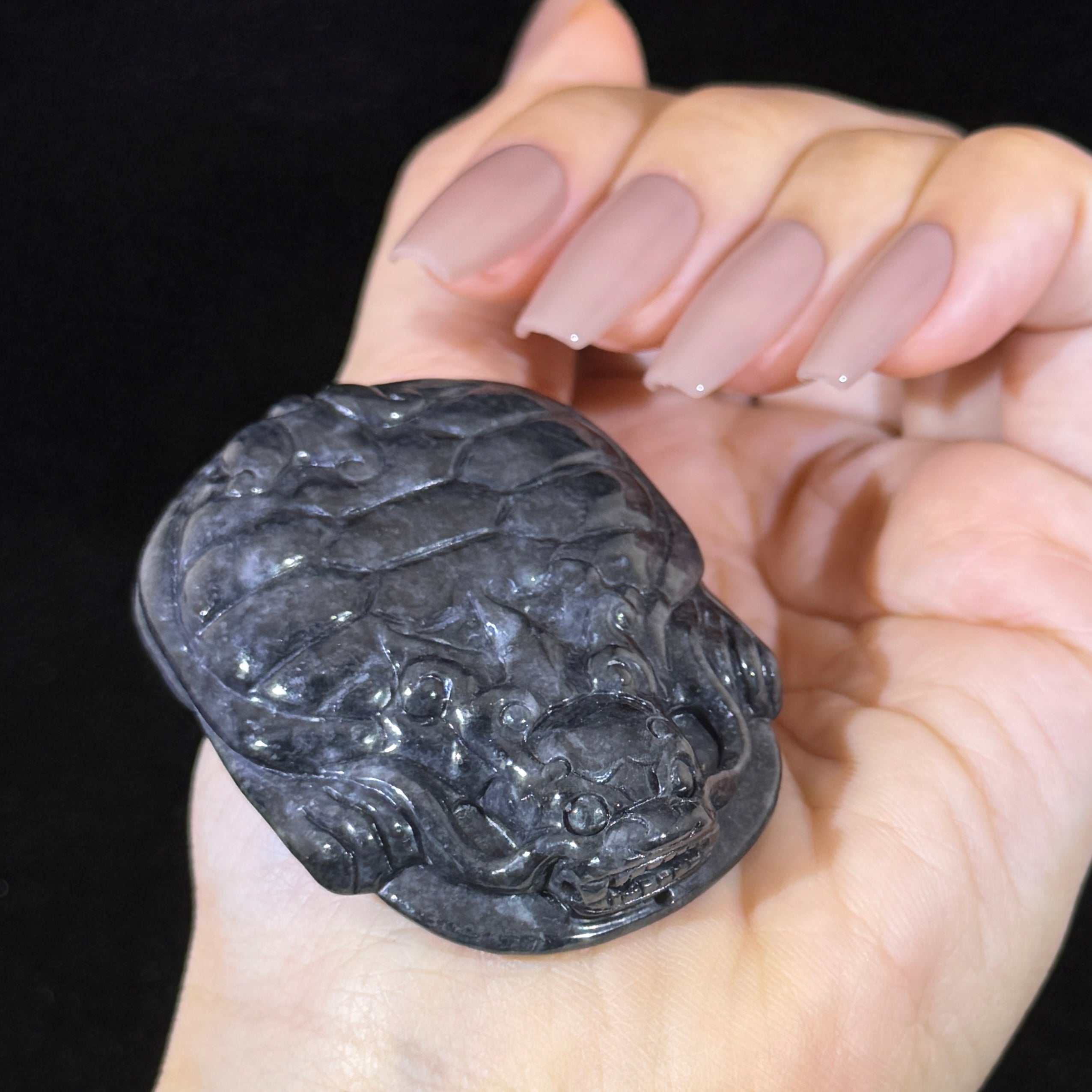 Type A Black Jade Dragon Tortoise Display