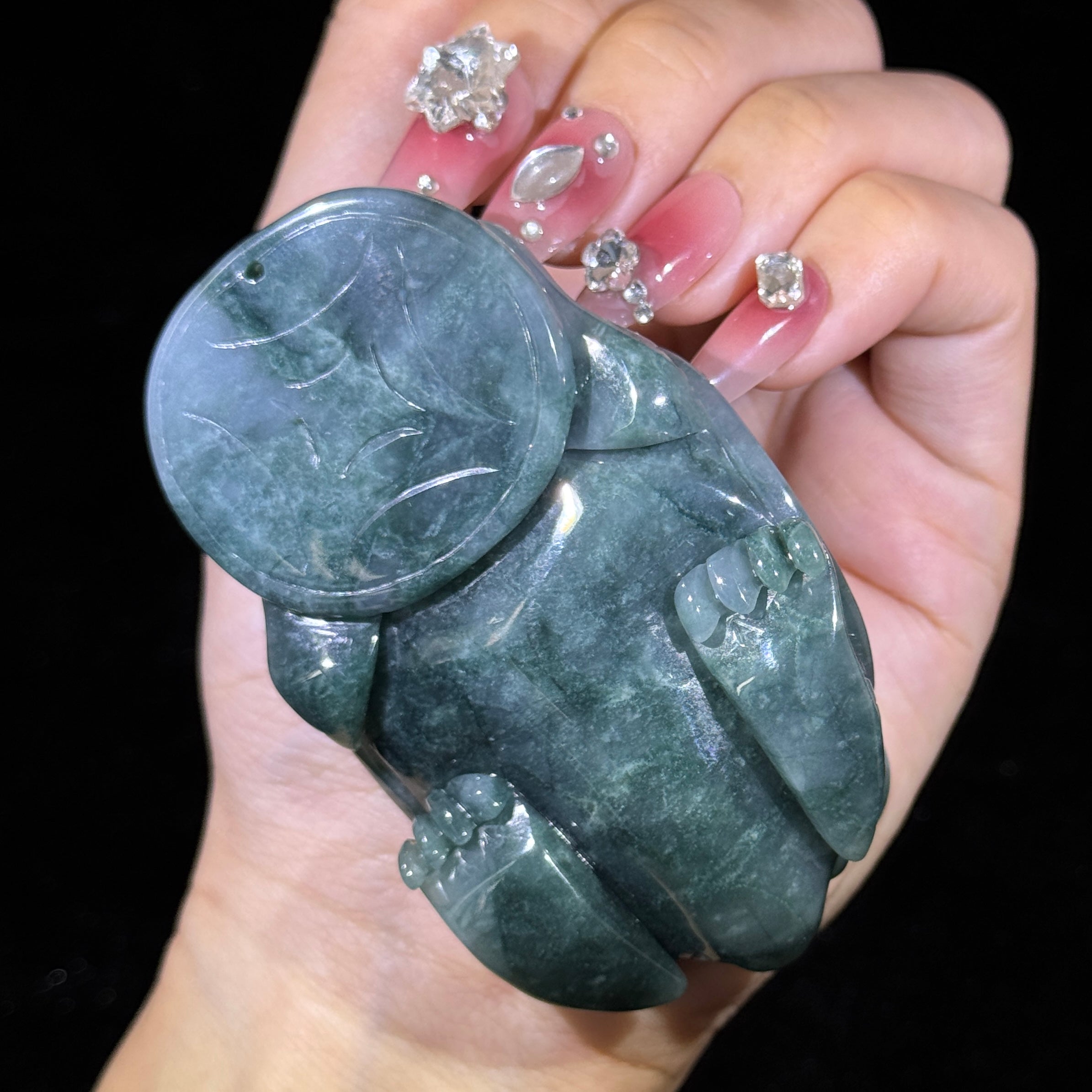 Type A Blueish Green Jade Dragon Tortoise Display